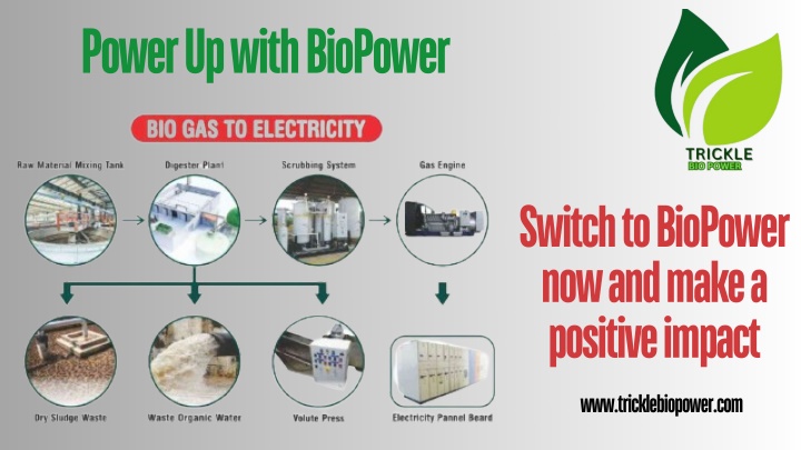 power up with biopower n.w