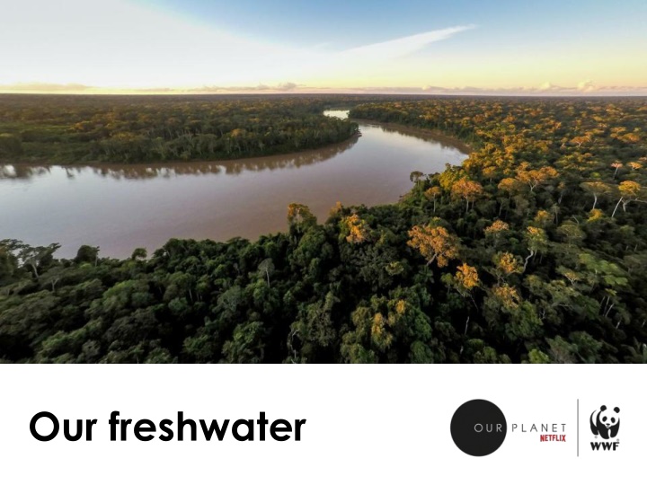Our Freshwater Ecosystems and Taking Action for Conservation