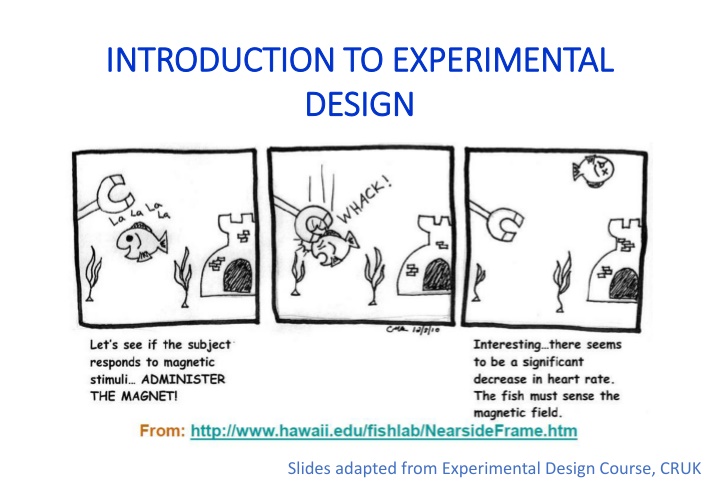 Experimental Design Principles
