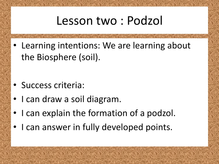 Podzol Formation in the Biosphere