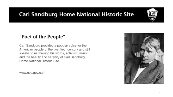 Influential Voices: Carl Sandburg, Bob Dylan, and Songs of Social Justice