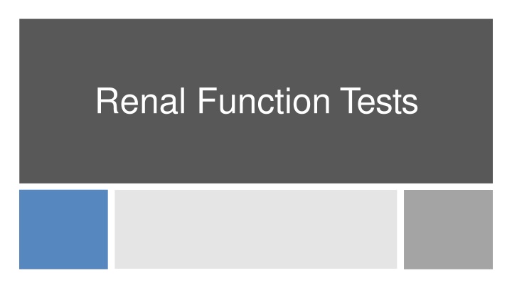 Renal Function Tests and Kidney Health
