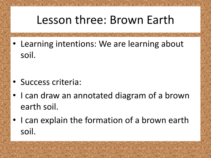 Brown Earth Soil Formation in Temperate Broadleaved Forests