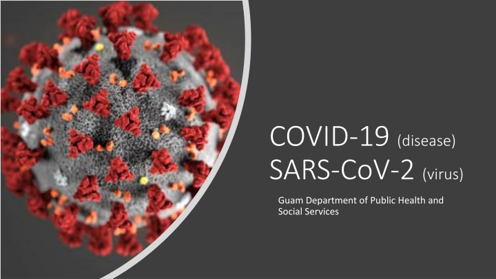 COVID-19 Overview: Guam Department of Public Health