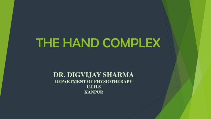 The Complex Structures and Functions of Joints in the Hand