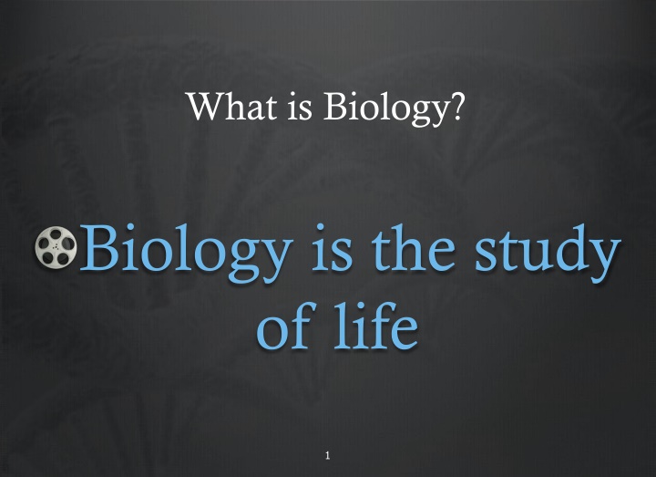 The Basics of Life: Understanding Biology and Life Functions
