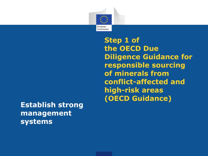 OECD Due Diligence Guidance: Establish Strong Management Systems