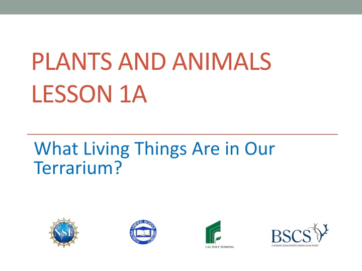 Living Things in Our Terrarium
