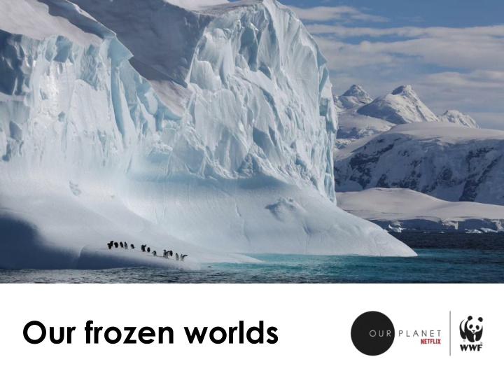 Impact of Climate Change on Arctic and Antarctic Regions