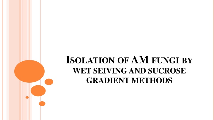 Isolation of AM Fungi by Wet Sieving and Sucrose Gradient Methods