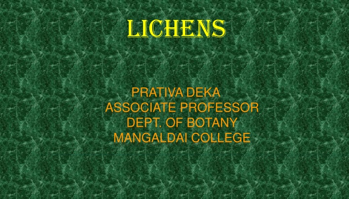 Fascinating World of Lichens: Insights into a Unique Symbiotic Relationship