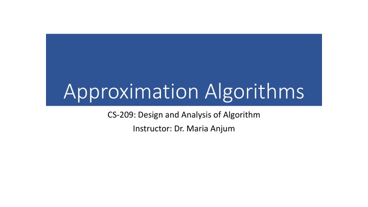 Approximation Algorithms: Types, Terminology, and Performance Ratios