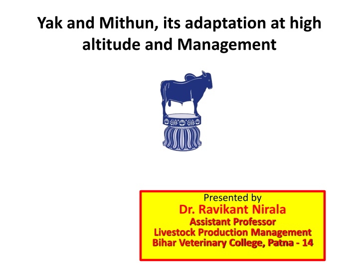 Adaptation of Yak and Mithun at High Altitude