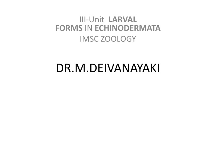 Larval Forms in Echinodermata: A Study of Development Stages