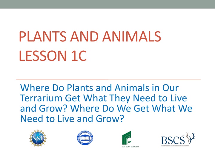 Plants and Animals: Where Do They Get What They Need to Live and Grow?