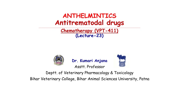 Antitrematodal Drugs and Their Applications in Veterinary Medicine