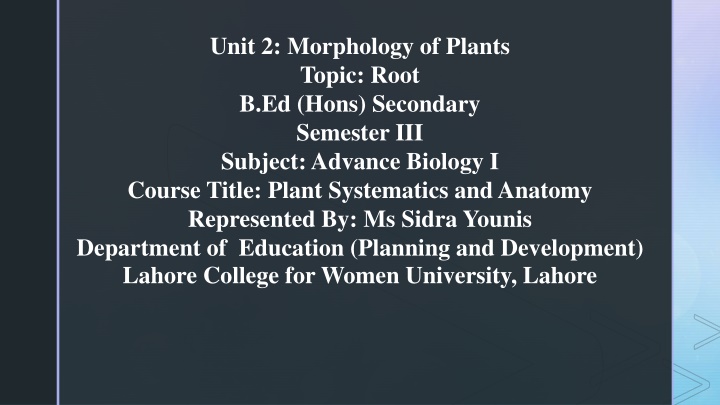 Morphological Characters of Roots in Plant Systematics and Anatomy