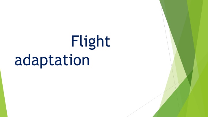 Adaptations of Flying Mammals and Fish for Aerial Life