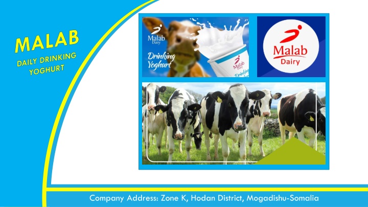 Malab Dairy Company - Leading Dairy Producer in Somalia