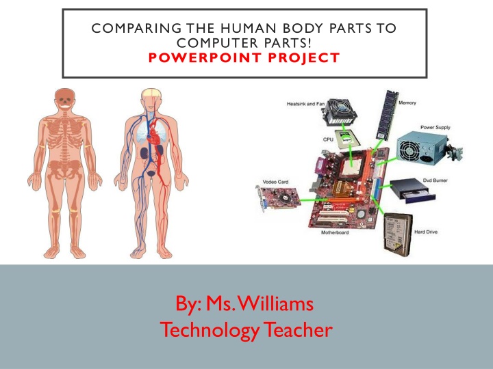 Comparing Human Body Parts to Computer Parts - Technology Project Presentation