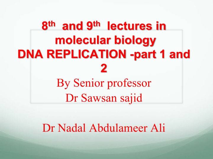DNA Replication Process: Insights and Mechanisms