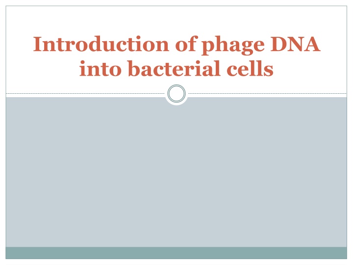 Introduction to Phage DNA Integration in Bacterial Cells