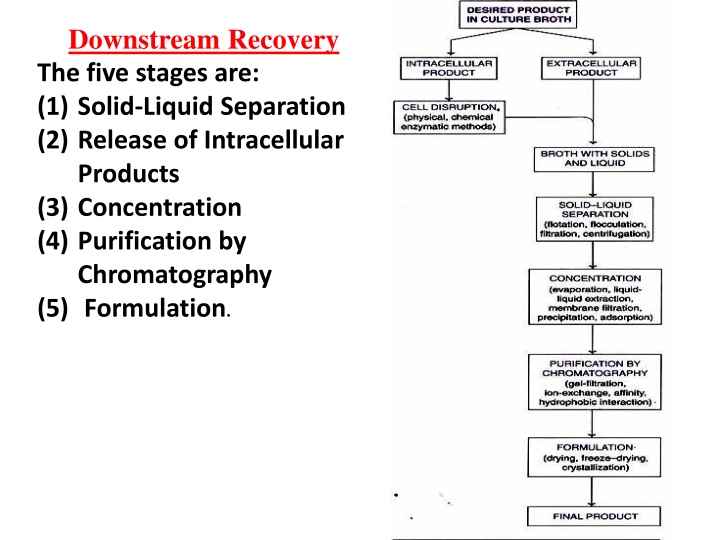 Key Steps in Downstream Processing: Recovery and Separation Techniques