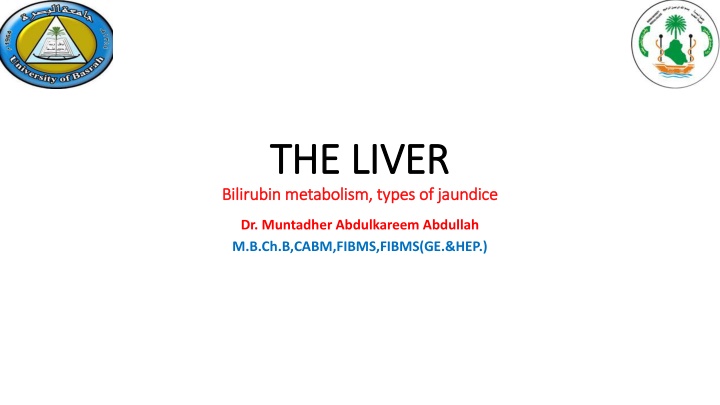 Bilirubin Metabolism and Different Types of Jaundice
