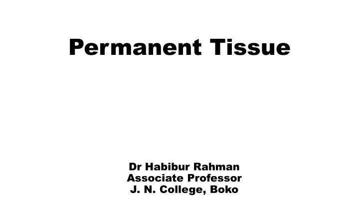 Plant Permanent Tissues: Parenchyma, Collenchyma, Sclerenchyma