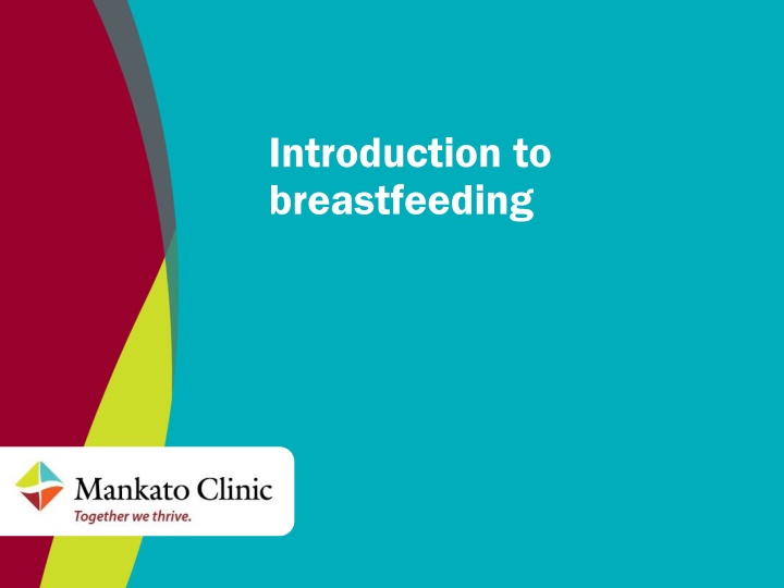 The Importance of Breastfeeding: Benefits for Mom and Baby