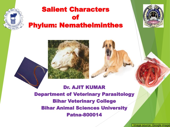 Overview of Nemathelminthes: Salient Characters and General Characteristics
