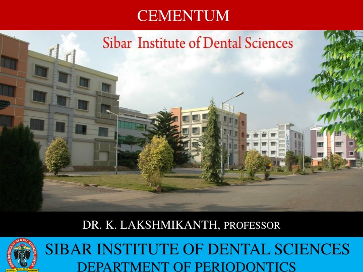 Cementum in Dental Anatomy