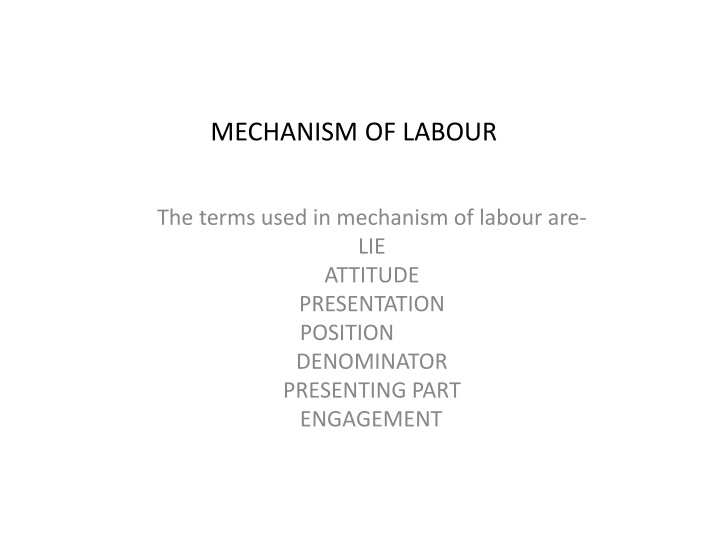 The Mechanism of Labour: Key Terms and Concepts