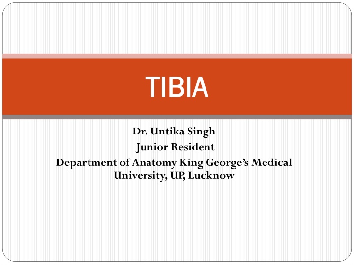 The Anatomy of Tibia - A Comprehensive Overview
