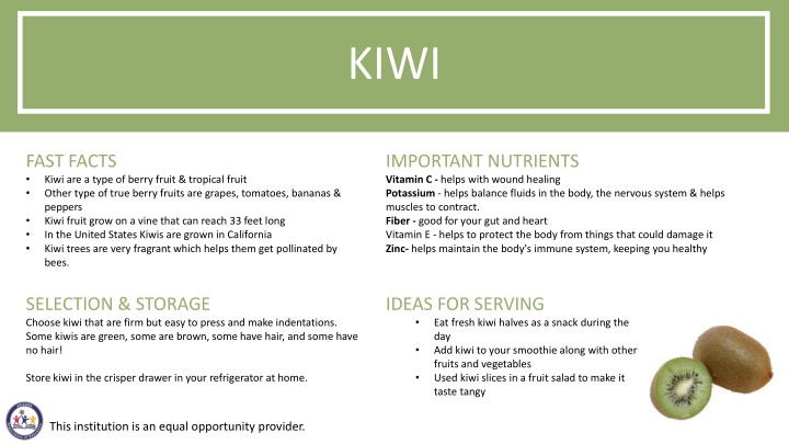 Fun Facts and Activities about Kiwi Fruit