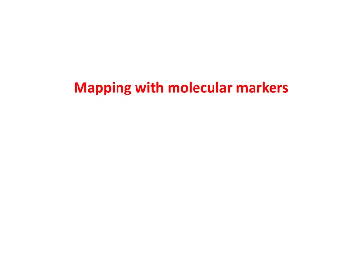 Genetic Markers in Molecular Mapping