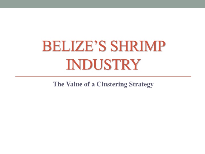 Enhancing Belize's Shrimp Industry Through Clustering Strategies