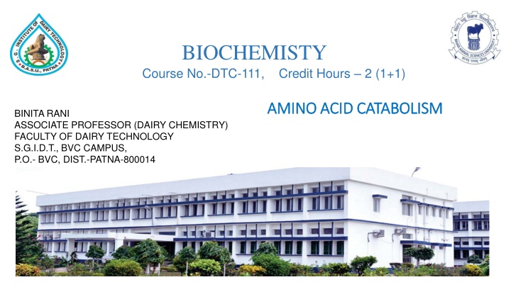 Amino Acid Catabolism: Pathways and Reactions