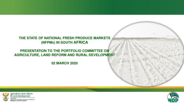The State of National Fresh Produce Markets in South Africa