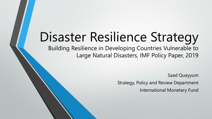 Disaster Resilience Strategy in Developing Countries Vulnerable to Natural Disasters