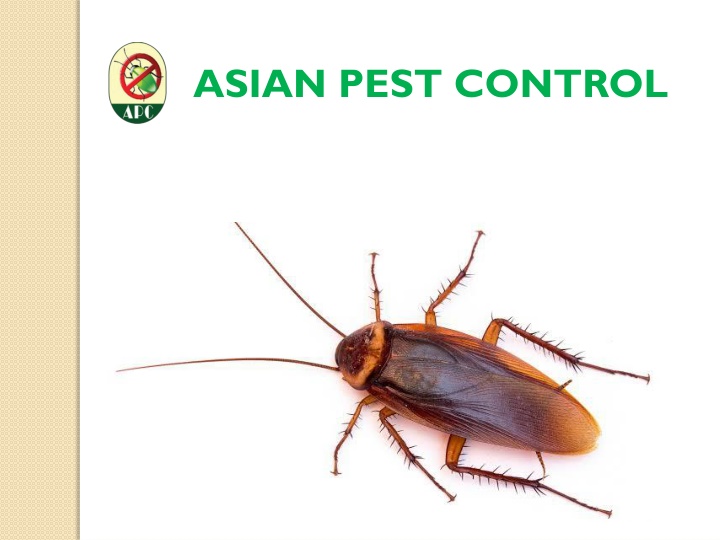 Asian Pest Control - Professional Pest Management Services in Dhaka