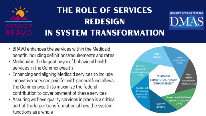 Overview of Bravo Services and Behavioral Health Initiatives in Virginia