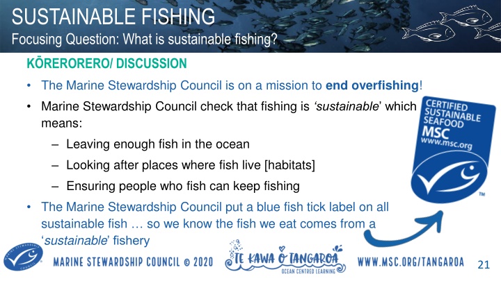 Sustainable Fishing Practices and Conservation Efforts