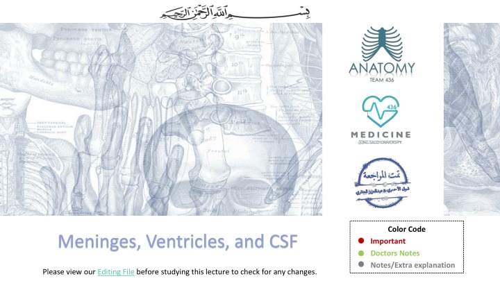 The Meninges, Ventricles, and CSF in the Central Nervous System
