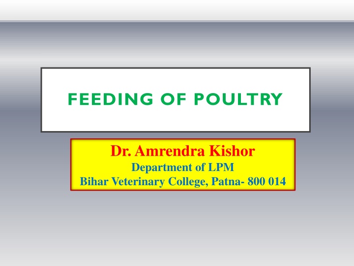 Essential Guidelines for Feeding Poultry for Optimal Production