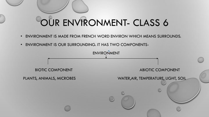 Our Environment: Class 6 Overview