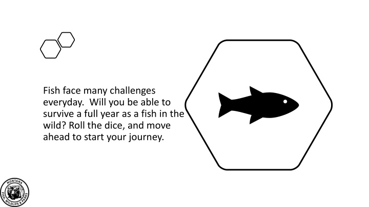 Surviving the Wild: A Fish's Journey Full of Challenges