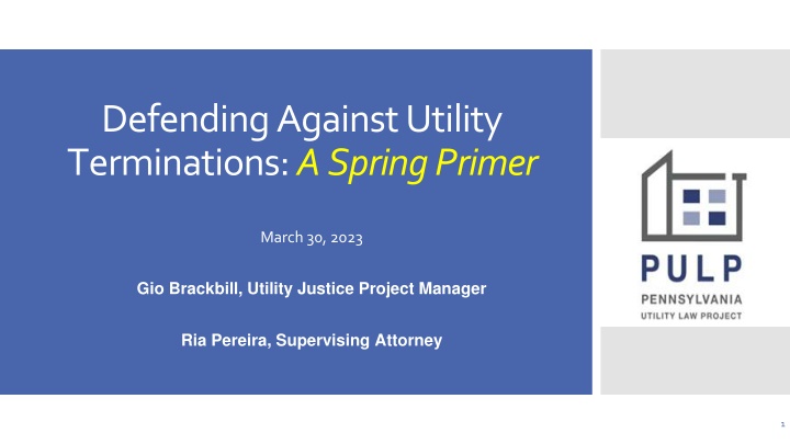 Defending Against Utility Terminations: A Spring Primer