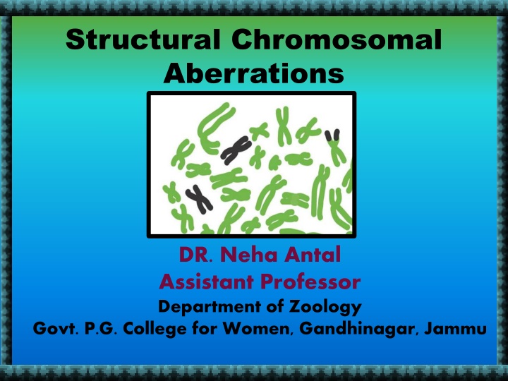 Structural Chromosomal Aberrations and Their Impact on Genetic Information