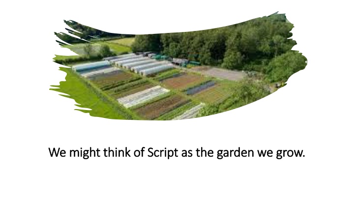 Cultivating Beliefs: The Garden of Our Minds